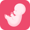 PregTracker: Pregnancy Tools