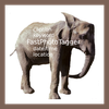 FastPhotoTagger