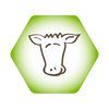 CowSignals® Training Company