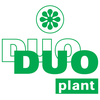 Duo plant en bloem