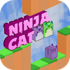 Ninja Cat
