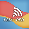 XSM-PED