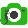 Gecko Camera
