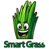 Smart Grass: Lawn Assistant