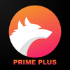 Primeplus Movie
