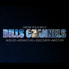Bills Channel