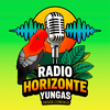 Radio Horizonte Yungas