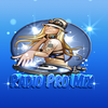 Radio Pro Mix