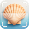 SeaShell Identifier
