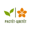 Растет-Цветет