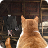 Cat Hunter Mouse House