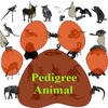 Pedigree of the Animal (D)