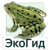 EcoGuide: Russian Amphibians