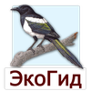 EcoGuide: Russian Birds