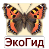 EcoGuide: Russian Butterflies