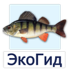EcoGuide: Russian Wild Fish