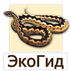 EcoGuide: Russian Reptiles