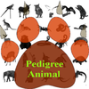 Pedigree of the Animal