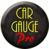 Car Gauge Pro (OBD2 + Enhance)