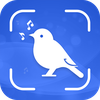 Bird Song Identifier