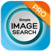 search by image on web