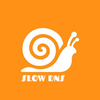 SLOW DNS