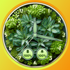 Succulent Plant Watchfaces PRO