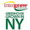 Intergrow Absence Request