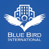 Blue Bird Company