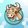 BullVPN: VPN & Secure Proxy