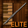 Professional Flute Elite
