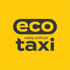 Eco Taxi Driver