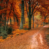Autumn Wallpapers 4K & HD
