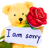 Sorry Stickers for WhatsApp