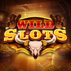 Wild Slots Party
