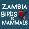 Zambia Bird & Mammal Checklist