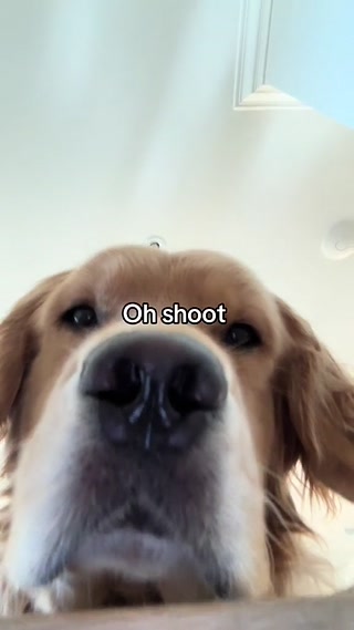 Creative: 000057e101de6c534462c61e2e0654a6