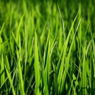 Creative: 00261e75fcdfb1e77965f6fa70bed0f4