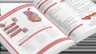 Creative: 0165c96f804a539a08a0022bc6111cba