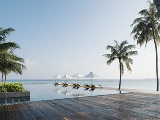 Creative: 019d330ba089f2693819ae0dc48e49c4