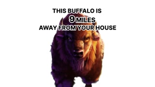 Creative: 01f99a239cc9f54e1baf415433d240df