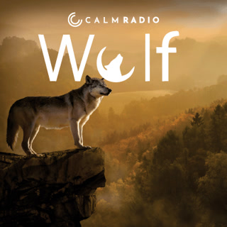 Creative: 0231685b75ab00e726703d772c5d54f1