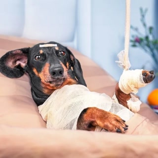 Creative: 028dabccc0ddb69b7db84ed2b12a59ba