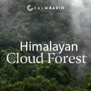 Creative: 02d452e68ab2e6bb19e34ef2b4270af9