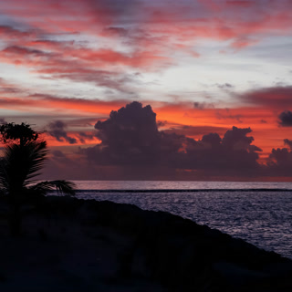 Creative: 0389f3f1cbf80a1d2582293545bb9631