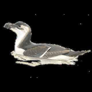 051ce89943680bbda4cfdd45e8a6137f