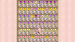 Creative: 05e1795dd95e11ce86f3a09867a5d5a3