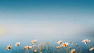 06148c0acab26a3d06accf4dfb6522f1