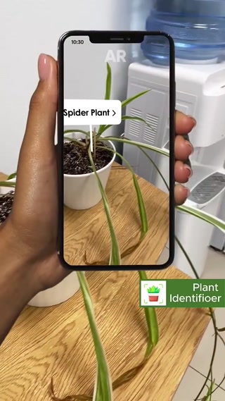 Creative: 0626b546a8f85159f588a0ca4e190efd