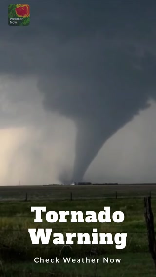 Creative: 07dfdce9c6821d2f9061136d234b1e4e